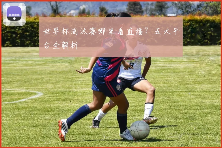 世界杯淘汰赛哪里看直播？五大平台全解析