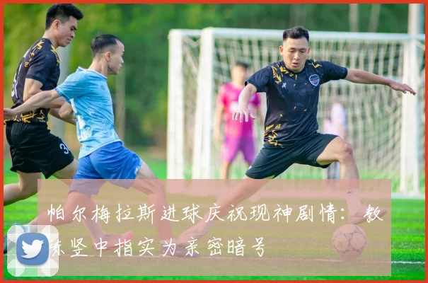 帕尔梅拉斯进球庆祝现神剧情：教练竖中指实为亲密暗号